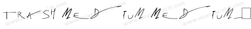 Trash Medium Medium字体转换